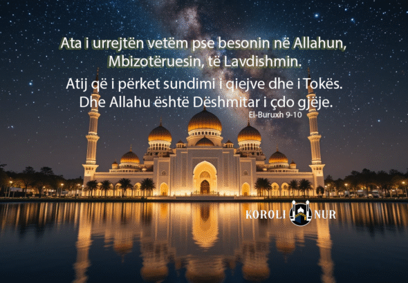 piclumen-fd