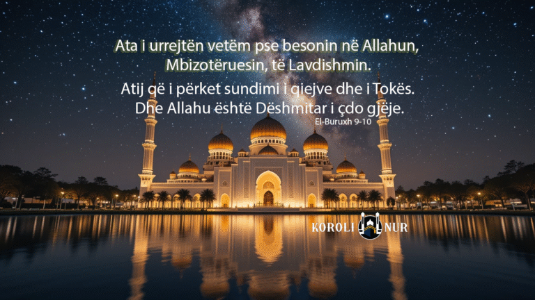 piclumen-fd